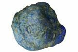 Vivid Blue, Cut/Polished Azurite Nodule - Siberia #175560-1